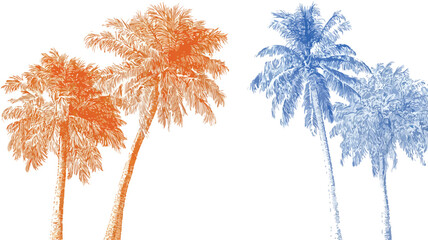 Tropical Palm Trees in Vibrant Blue and Orange - Collection Feature