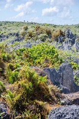 Makatea Island &ndash; Rugged Raised Atoll of French Polynesia