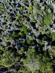 Makatea Island &ndash; Rugged Raised Atoll of French Polynesia