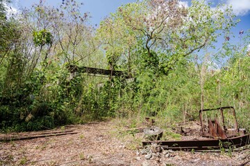 Makatea Island &ndash; Rugged Raised Atoll of French Polynesia