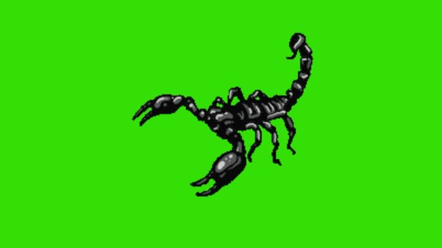 Scorpion on a green background