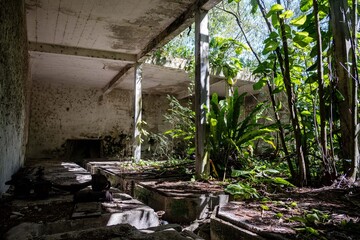 Makatea Island &ndash; Rugged Raised Atoll of French Polynesia