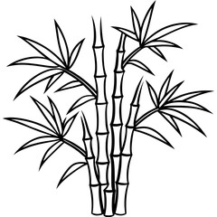 Fototapeta premium Minimal Bamboo Tree Vector