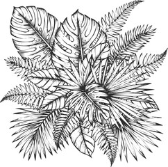Intricate floral design monochrome engraving art transparent and eps