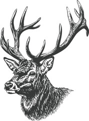 Deer head engraving art transparent and eps