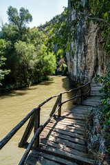 Empty Wooden Walkway Along Rusenski Lom River Cliffs