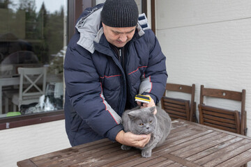 Senior male brushing pet outdoors near house highlighting daily routine compassion and calm interaction with animal.