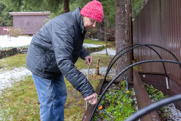 Elderly male maintaining plants in garden box during early winter. Casual outdoor labor on residential yard environment.