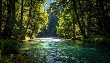 Crystal Clear River Flowing Through a Lush Green Forest.