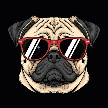 Pug Dog Face Wearing Sunglasses Illustration.