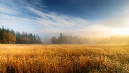 golden field meets misty forest edge a serene blend of nature s beauty and ethereal atmosphere