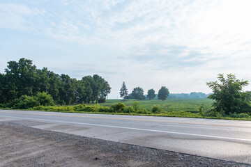 A quiet countryside road borders open green farmland with scattered trees, captured on a calm morning under a cloudy sky.