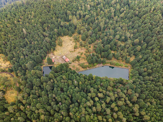 Caja de agua y paisaje boscoso en Nexcoalango, Estado de M&eacute;xico.