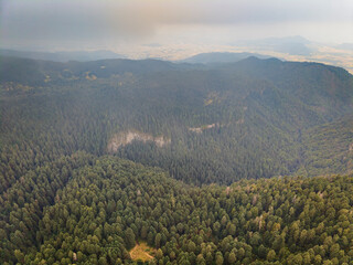 Paisaje boscoso en el Parque Nacional Izta-Popo, M&eacute;xico.