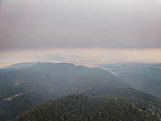 Paisaje boscoso en el Parque Nacional Izta-Popo, M&eacute;xico.