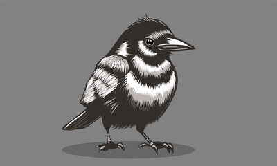 crow on a white background