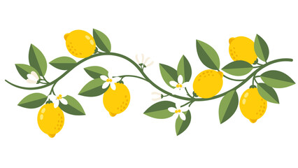 Vibrant Lemon Branch Illustration with Ripe Yellow Fruits, Green Leaves, and White Blossoms