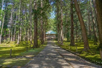 Obraz premium 静寂に包まれた境内の情景