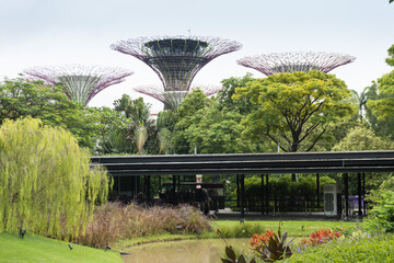 Gardens by the bay, Singapore
