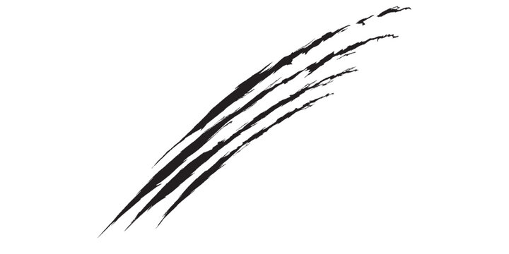 Black Claw Marks on a White Background.