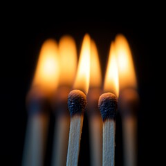 A row of lit matchsticks against a dark background.  high resolution   for isolate image
