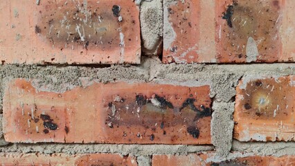 Wide perspective of a gravel-covered ground featuring clusters of white mold and scattered orange brick pieces