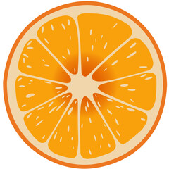 Simple Orange Slice Vector Illustration