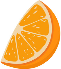 Simple Orange Slice Vector Illustration