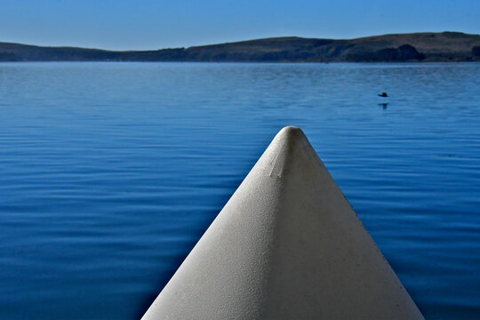 Alien like &ldquo;Still Life&ldquo; with closeup of pier piling cap, water, bird and distant hills.