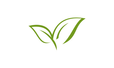 Two vibrant green leaves symbolizing nature and organic growth.
