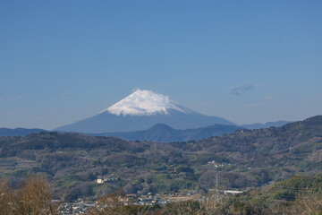 吾妻山公園から見た冠雪の富士山