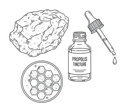 Propolis tincture with honeycomb and propolis piece in vector line art style