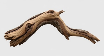 Fototapeta premium Rustic Gnarled Driftwood Branch with Unique Twisted Grain Texture