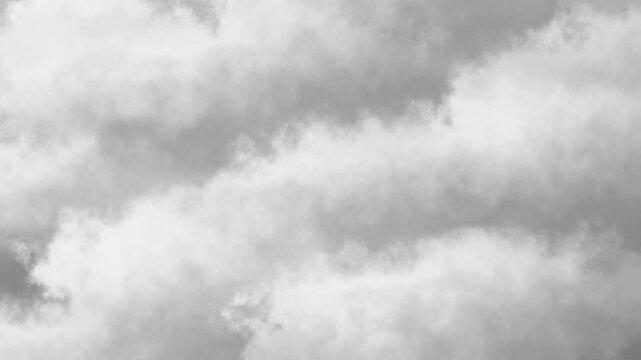 The background of grayish white clouds in the overcast sky