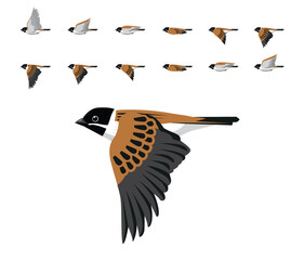 Common Reed Bunting Flying Animation Sequence Cartoon Vector
