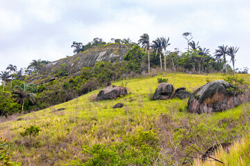 Tropical mountain hill with jungle rainforest trees blue sky