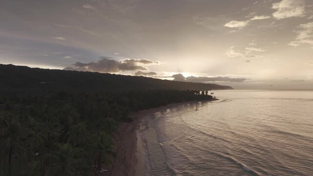 Aerial drone view of Playa Sublime and Coson Beach, pristine coastline with palm trees in Las Terrenas, Samana.