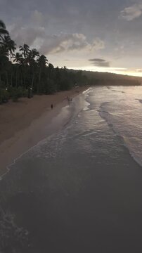 Vista a&eacute;rea de Playa Sublime y Playa Cos&oacute;n, costa virgen con palmeras en Las Terrenas, Saman&aacute; caballo en la playa