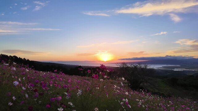 "Asahi" time lapse video - Japan