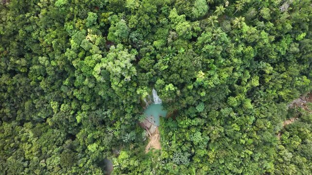 Vista a&eacute;rea de la cascada Salto del Lim&oacute;n rodeada de selva tropical, Saman&aacute;, Rep&uacute;blica Dominicana.