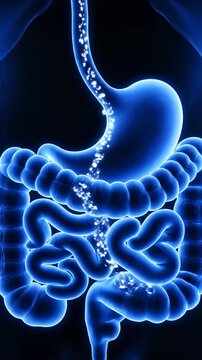 Chyme Passing Through Human Digestive System in Blue Glow