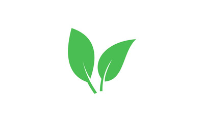 Two vibrant green leaves symbolizing nature and growth.