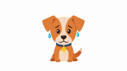 Fototapeta premium Jack Russell Terrier puppy with blue tears on cheeks wearing a blue collar with a yellow tag