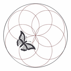 Minimal Solar Breathing Abstract Concept Symbol