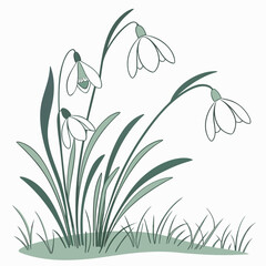 Minimal Spring Emergence Abstract Vector Form