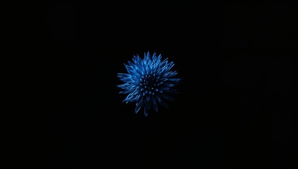 Fototapeta premium Striking blue flower, detailed petals, illuminated against a deep black background, evoking a sense of mystery and beauty