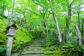 京都嵐山の嵯峨野を散策する
