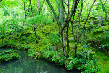京都嵐山の嵯峨野を散策する