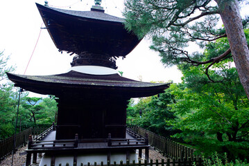 京都嵐山の嵯峨野を散策する