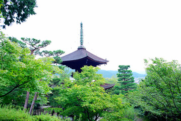 京都嵐山の嵯峨野を散策する